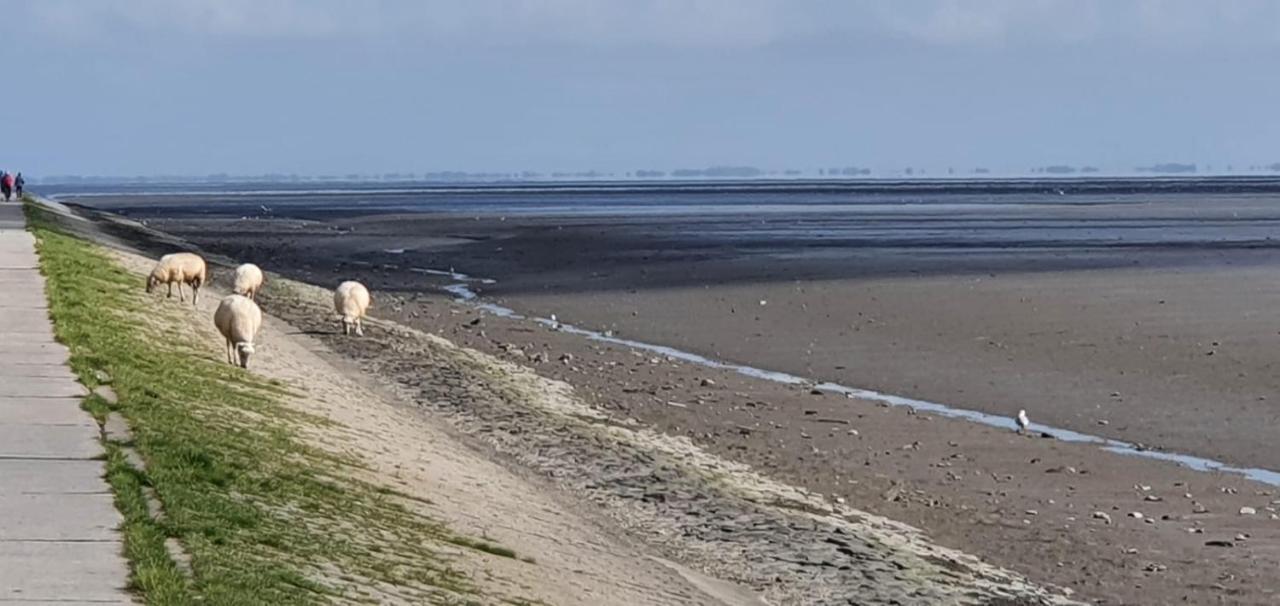 Fewo Mit Meerblick - Direktzugang Zur Nordsee Apartamento Wilhelmshaven Exterior foto